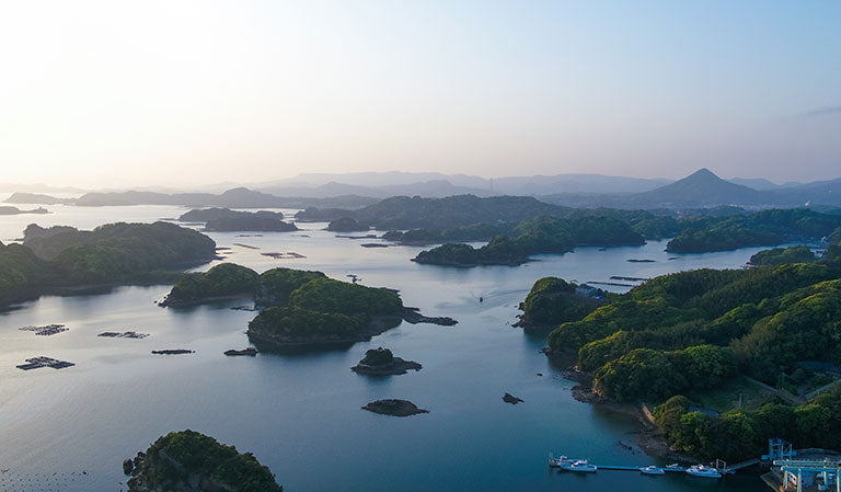 TASAKI | Pearl—Its origin