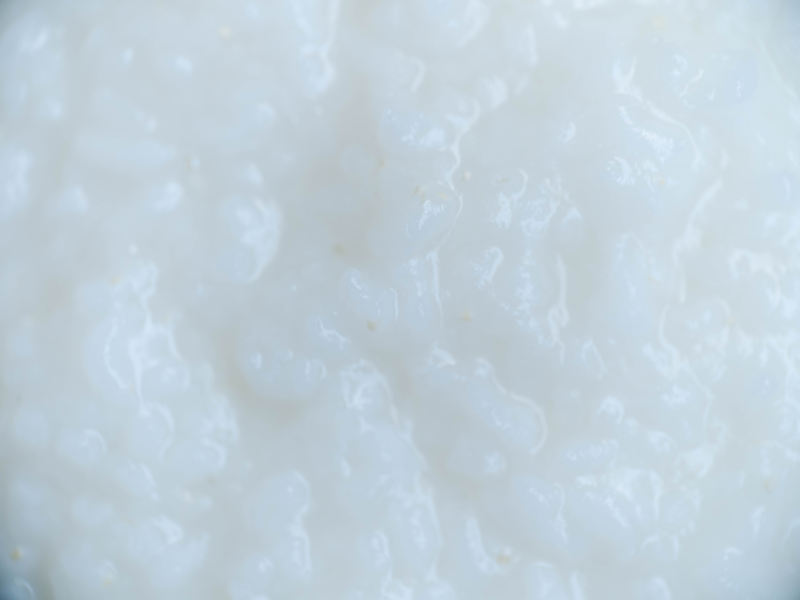 YUNIKO TAKAKURA / 髙倉 優仁子